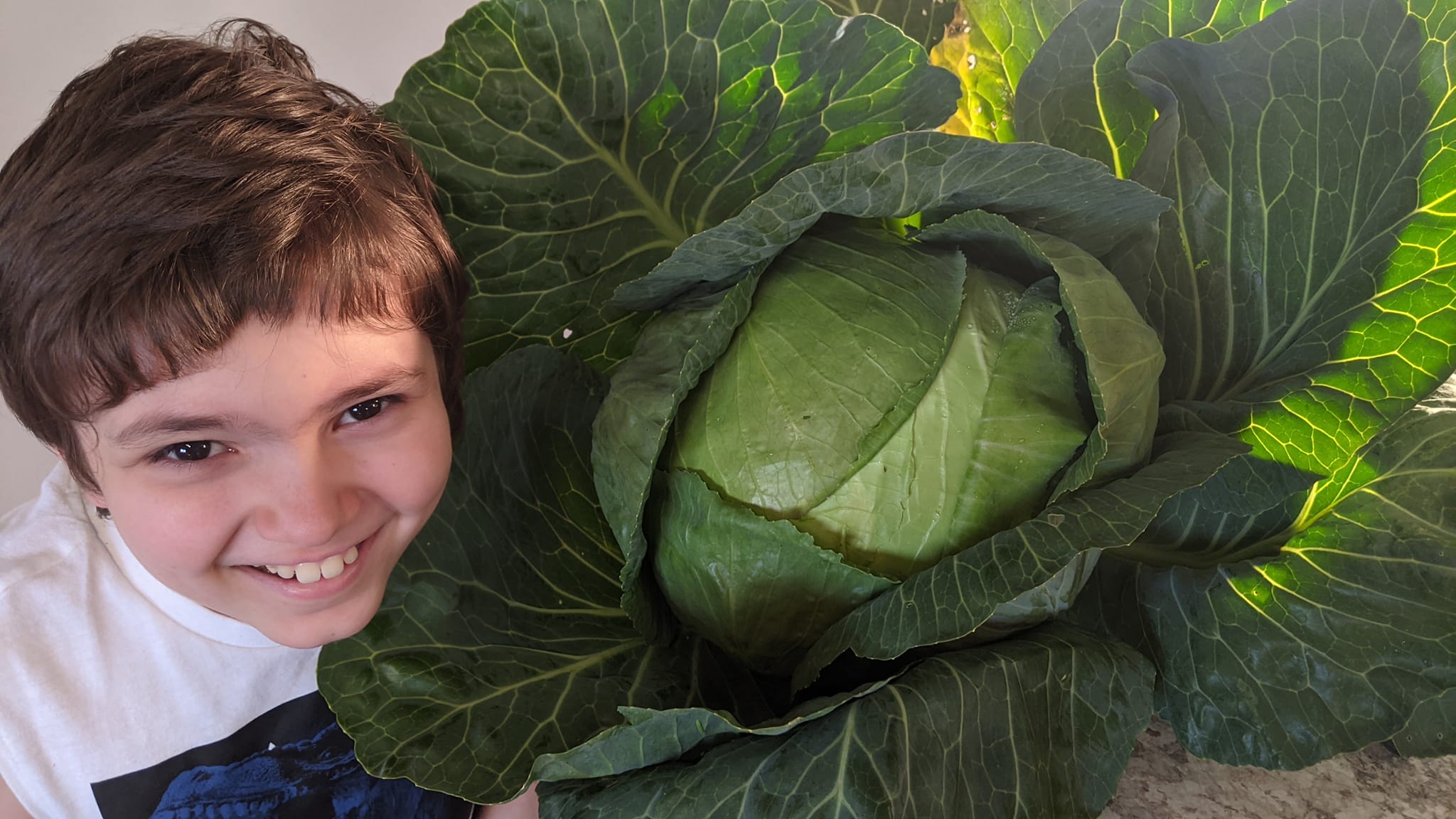 Growing Huge Veggies with No-Till Gardening