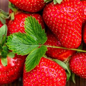 Strawberries - Quart